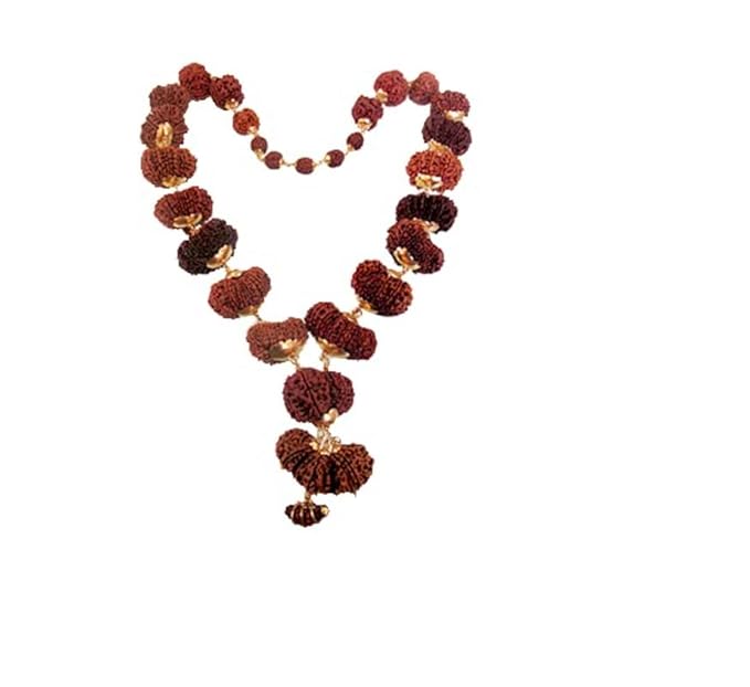 1 - 21 Mukhi Nepali Rudraksha Indra Mala (Customisable)