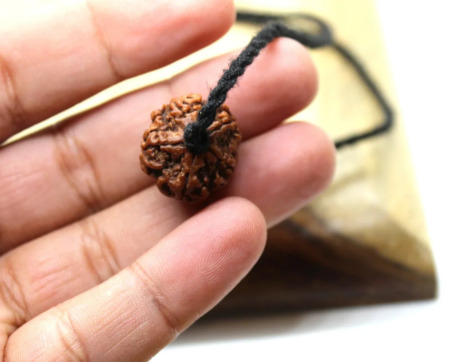 Panchmukhi Rudraksha, 5 Mukhi Nepalese Collector Rudraksha Bead Adjustable Cord, Spiritual Gifts, Five Faced Rudraksha Seed, Mahadeva Shiva