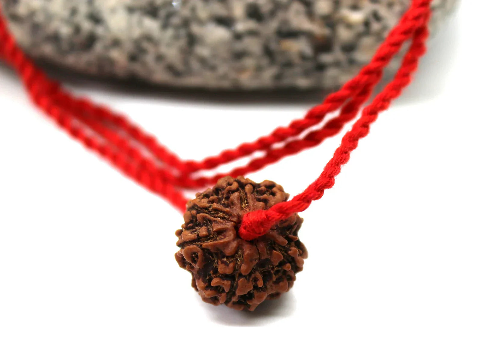 Shiva pendant with 6 Mukhi Rudraksha mala bead, Kartikeya Mars yoga jewelry, big Rudraksh choker, Protection jewellery, Hindu necklace