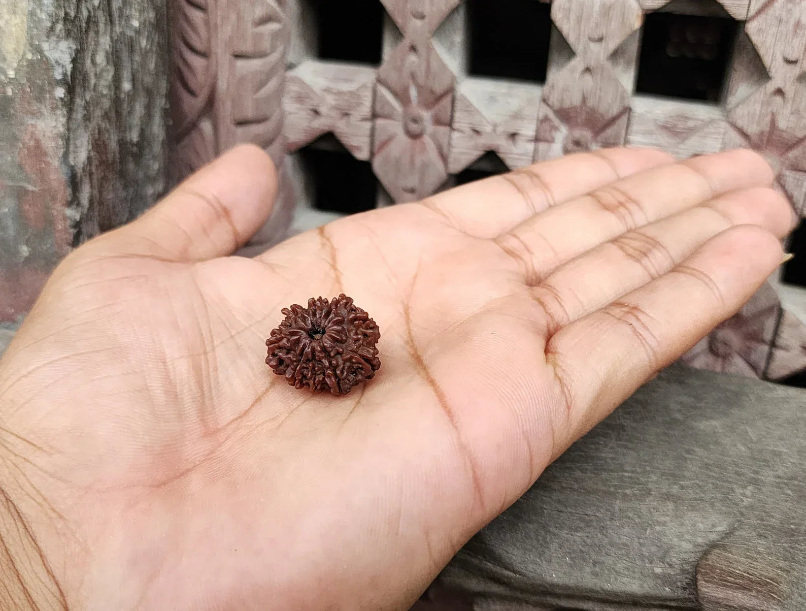 Original 9 Mukhi Rudraksha Beads, Authentic Premium Quality Nine Face Maa Durga Rudraksha from Nepal, Sacred Ketu And Goddess Durga Rudraksha