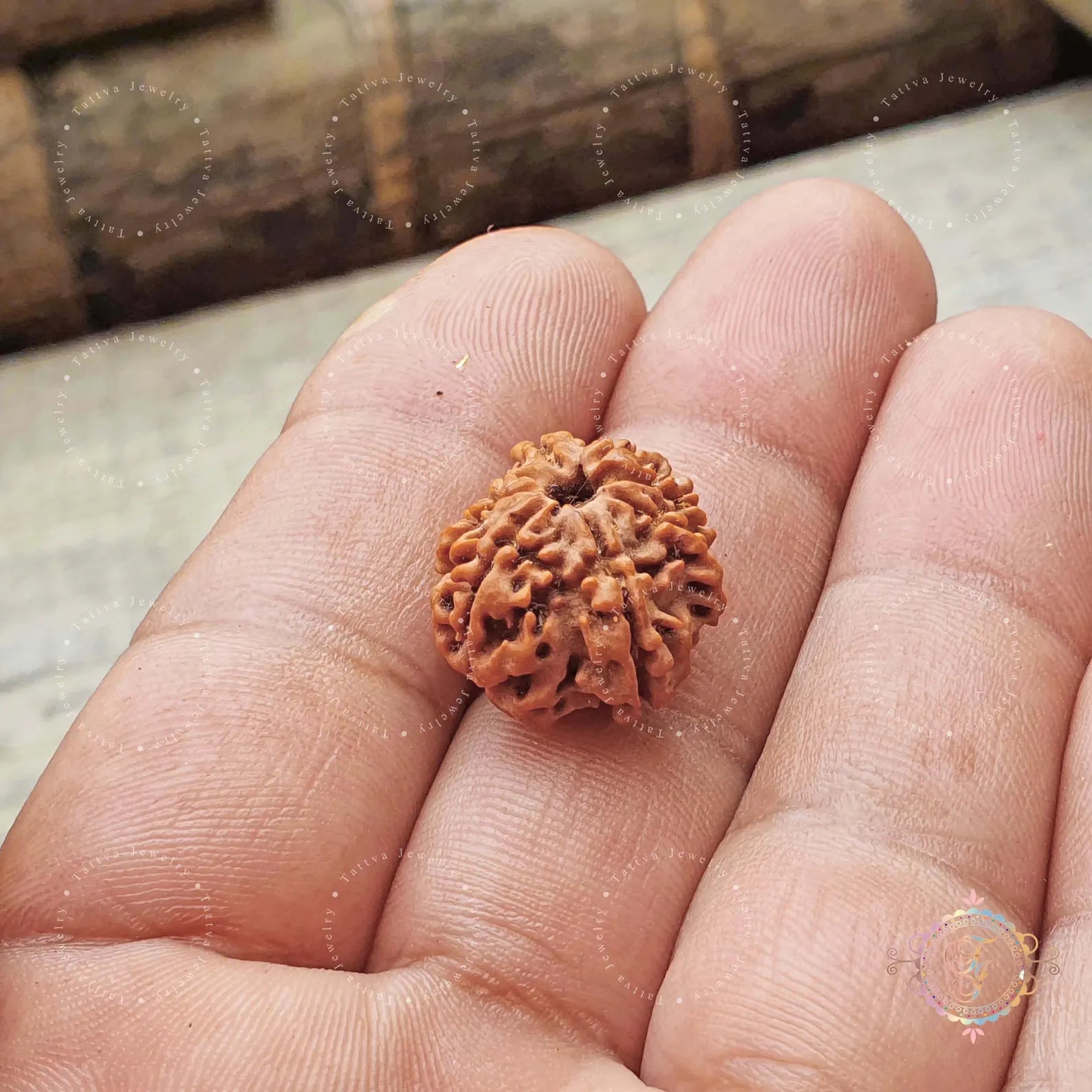 Nepali 8 Mukhi Rudraksha Bead-Lab Certified With Adjustable Cord, Rudraksha Seed, 8 Mukhi Rudraksha, Eight Face Rudraksh Nepal Bead