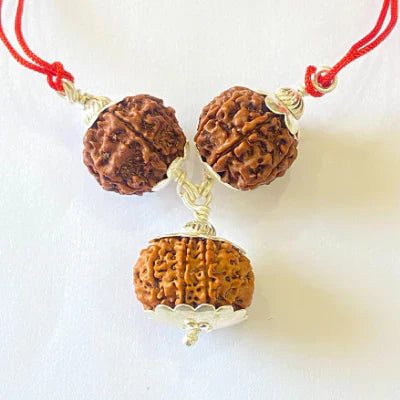 7,8 & 13 Mukhi Rudraksha Combination For (sales executives/brokers/ traders)