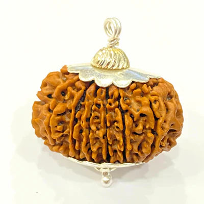 Natural 15 Mukhi Rudraksha (Nepal Origin- 30 mm apx)